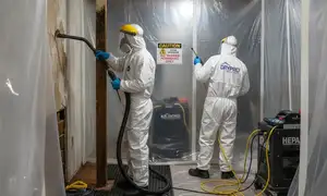 Mold remediation service for water damage cleanup in Little Rock, AR